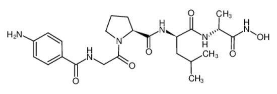 Picture of 4-Aminobenzoyl-Gly-Pro-D-Leu-D-Ala hydroxamic acid