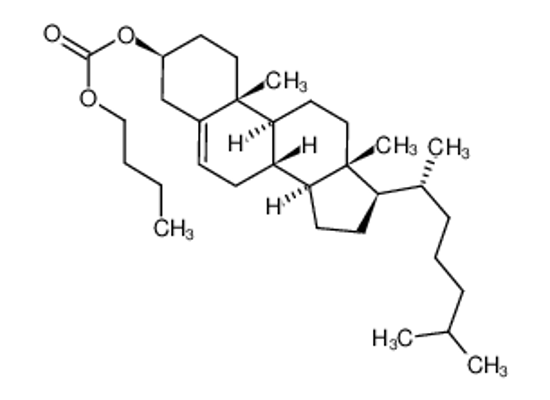 Picture of Cholesterol Butyl Carbonate