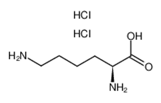 Picture of L-Lysine dihydrochloride