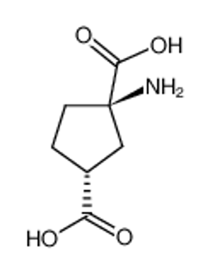 Picture of (+/-)-1-AMINOCYCLOPENTANE-CIS-1,3-DICARBOXYLIC ACID