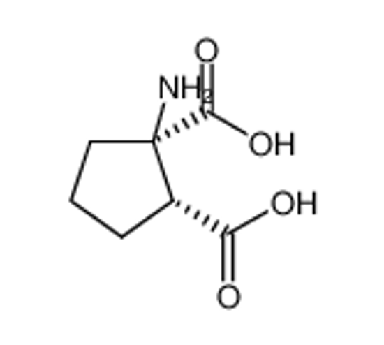 Picture of (+/-)-1-AMINOCYCLOPENTANE-CIS-1,2-DICARBOXYLIC ACID