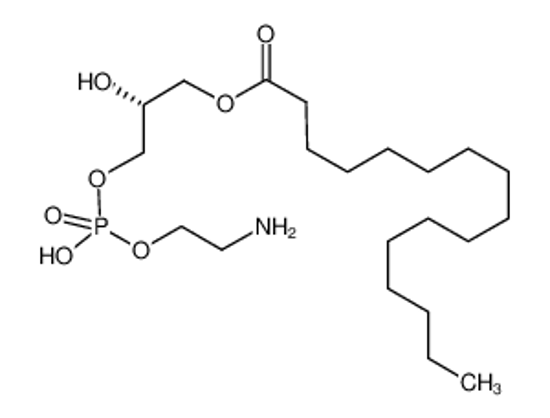 Picture of 1-PALMITOYL-SN-GLYCERO-3-PHOSPHOETHANOLAMINE