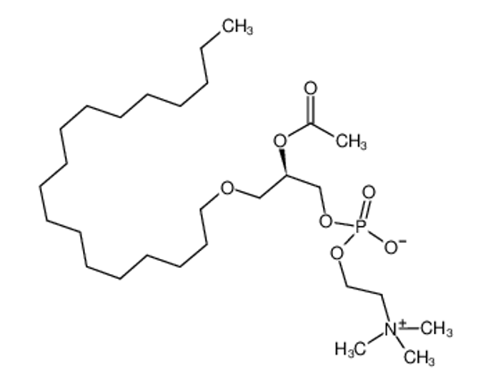 Picture of 1-O-octadecyl-2-acetyl-sn-glycero-3-phosphocholine