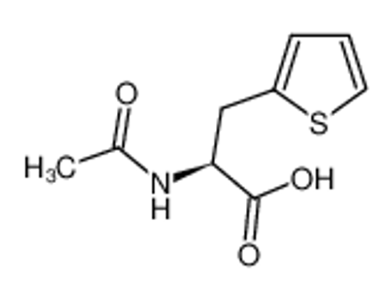 Imagem de AC-β-(2-THIENYL)-ALA-OH