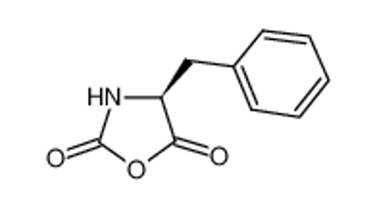 Изображение (4S)-4-benzyl-1,3-oxazolidine-2,5-dione