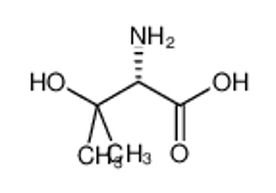 Picture of (S)-(+)-2-Amino-3-hydroxy-3-methylbutanoic acid