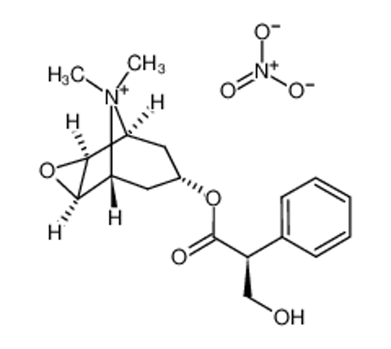 Picture of Scopolamine Methyl Nitrate
