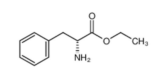 Picture of D-phenylalanineethylester