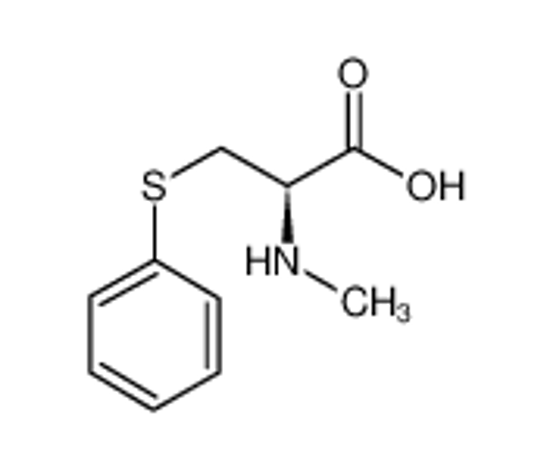Imagem de S-Phenylmercapturic Acid