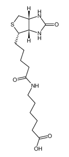 Picture of N-Biotinylcaproic Acid
