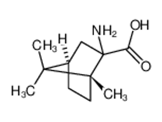 Picture of 2-AMINO-2-BORNANECARBOXYLIC ACID