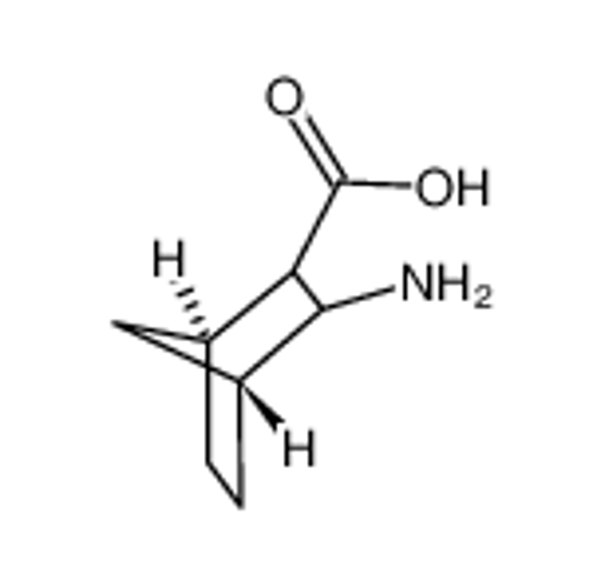 Picture of 3-AMINO-2-NORBORNANECARBOXYLIC ACID