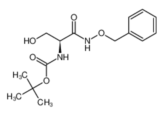 Picture of O-Benzyl-α-N-tert-Boc-L-serinehydroxamic Acid