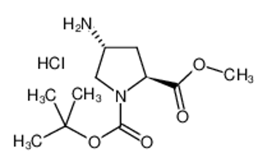 Picture of Boc-trans-4-amino-L-proline methyl ester hydrochloride salt