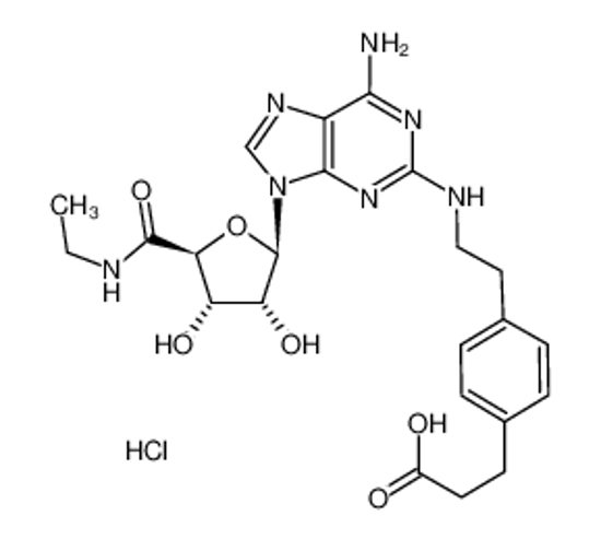Picture of CGS-21680 hydrochloride hydrate
