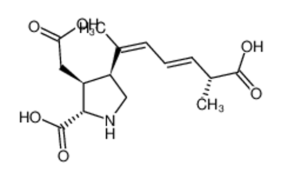 Picture of domoic acid