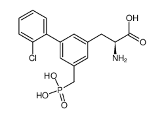 Picture of SDZ 220-581,(S)-α-Amino-2'-chloro-5-(phosphonomethyl)[1,1'-biphenyl]-3-propanoicacid