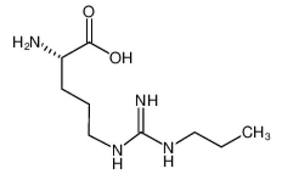 Picture of (2S)-2-amino-5-[(N'-propylcarbamimidoyl)amino]pentanoic acid