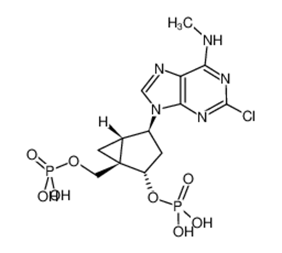 Picture of MRS 2279,(1R*,2S*)-4-[2-Chloro-6-(methylamino)-9H-purin-9-yl]-2-(phosphonooxy)bicyclo[3.1.0]hexane-1-methanoldihydrogenphosphateesterdiammoniumsalt
