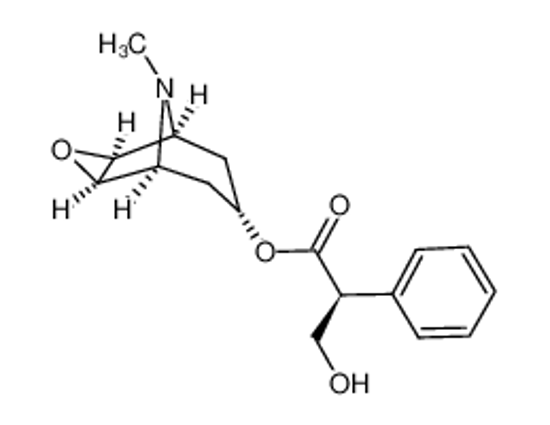 Изображение (-)-SCOPOLAMINE