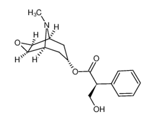 Picture of (-)-SCOPOLAMINE