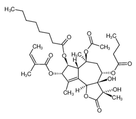 Picture of thapsigargin