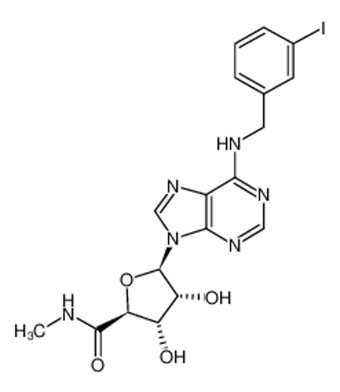 Picture of (2S,3S,4R,5R)-3,4-dihydroxy-5-[6-[(3-iodophenyl)methylamino]purin-9-yl]-N-methyloxolane-2-carboxamide