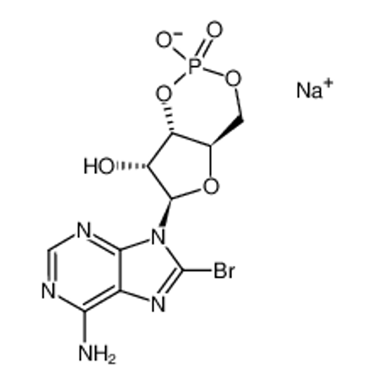 Picture of 8-Bromo-cAMP, sodium salt,8-Bromoadenosine-3',5'-cyclicmonophosphatesodiumsalt