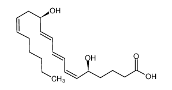 Picture of leukotriene B4