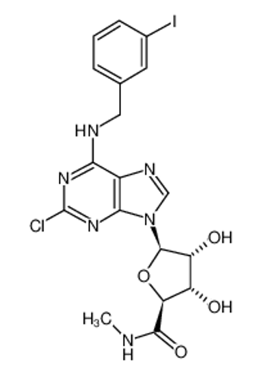 Picture of (2S,3S,4R,5R)-5-[2-chloro-6-[(3-iodophenyl)methylamino]purin-9-yl]-3,4-dihydroxy-N-methyloxolane-2-carboxamide