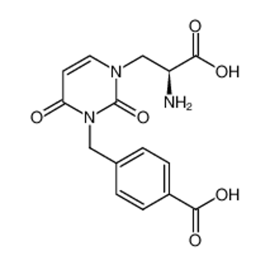 Picture of UBP 282,(αS)-α-Amino-3-[(4-carboxyphenyl)methyl]-3,4-dihydro-2,4-dioxo-1(2H)-pyrimidinepropanoicacid