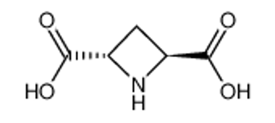 Picture of (2S,4S)-azetidine-2,4-dicarboxylic acid
