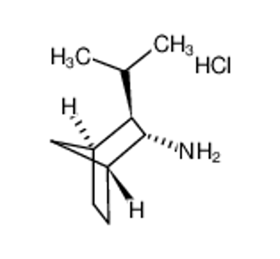 Picture of (±)-2-endo-Amino-3-exo-isopropylbicyclo[2.2.1]heptanehydrochloride