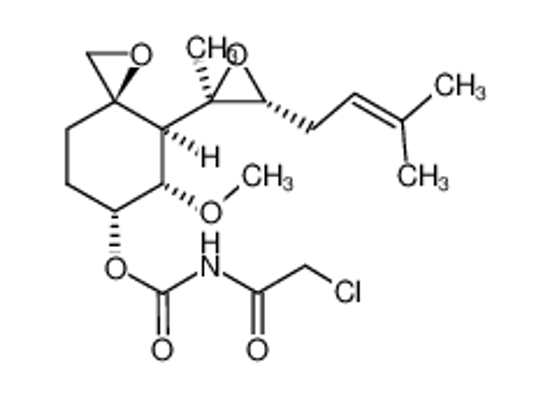 Picture of TNP 470,N-(2-Chloroacetyl)carbamicacid(3R,4S,5S,6R)-5-Methoxy-4-[(2R,3R)-2-methyl-3-(3-methyl-2-buten-1-yl)-2-oxiranyl]-1-oxaspiro[2.5]oct-6-ylester