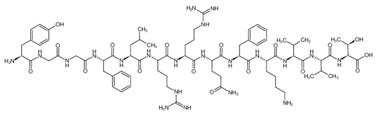 Изображение Dynorphin B