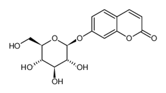 Picture of 7-HYDROXYCOUMARIN GLUCOSIDE