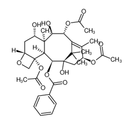 Picture of 13-Acetyl-9-dihydrobaccatin III