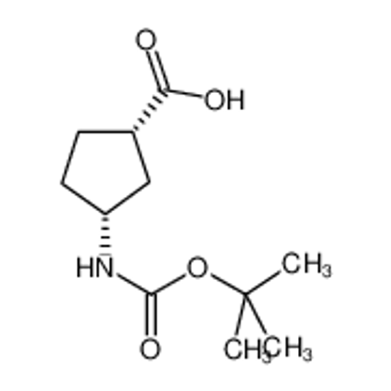 Picture of (1S,3R)-N-BOC-1-Aminocyclopentane-3-carboxylic acid