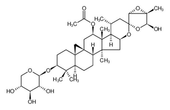 Picture of Actein，Tribulus terrestris P.E.