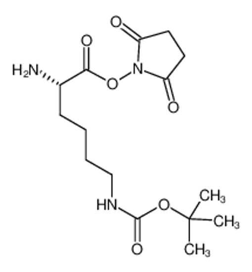 Picture of L-LYSINE(BOC) HYDROXYSUCCINIMIDE ESTER