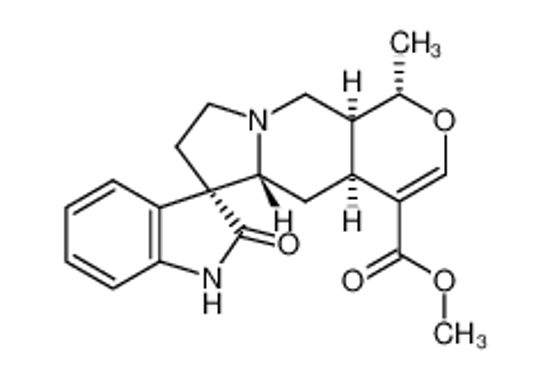 Picture of UNCARINE D