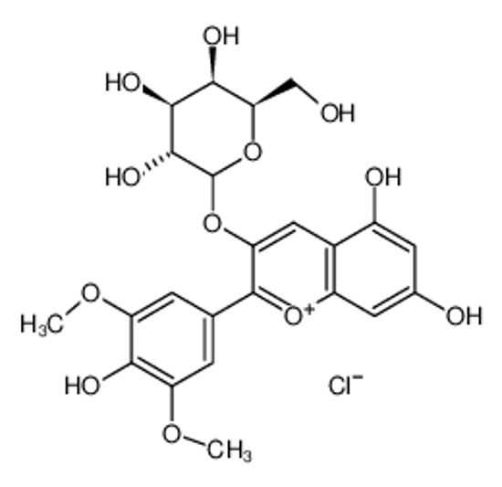 Picture of MALVIDIN-3-GALACTOSIDE CHLORIDE