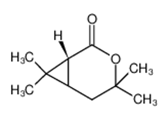 Picture of (1S,6R)-3,3,7,7-tetramethyl-4-oxabicyclo[4.1.0]heptan-5-one
