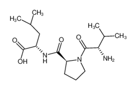 Picture of 2-[[1-(2-amino-3-methylbutanoyl)pyrrolidine-2-carbonyl]amino]-4-methylpentanoic acid