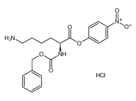 Picture of (4-nitrophenyl) (2S)-6-amino-2-(phenylmethoxycarbonylamino)hexanoate,hydrochloride