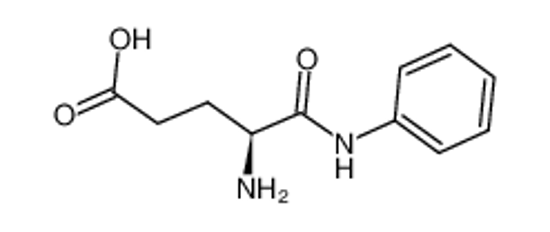 Picture of GLUTAMIC ACID(ANILIDE)-OH