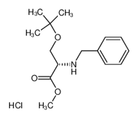 Picture of methyl (2S)-2-(benzylamino)-3-[(2-methylpropan-2-yl)oxy]propanoate,hydrochloride