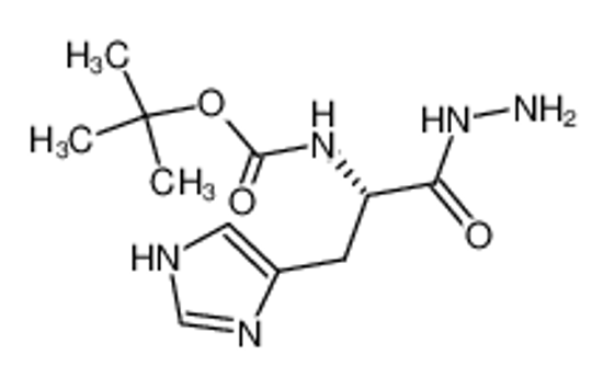 Picture of BOC-HIS-NHNH2