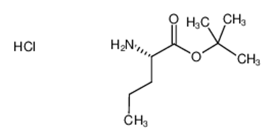 Picture of tert-butyl (2S)-2-aminopentanoate,hydrochloride