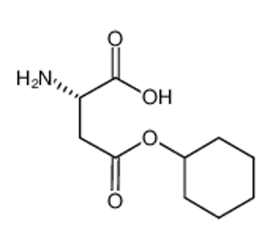 Picture of L-Aspartic acid 4-cyclohexyl ester